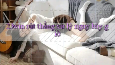 23win rút thẳng xử lý ngay bây giờ