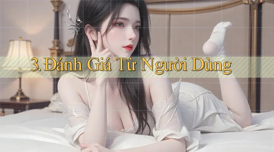 3. Đánh giá từ người dùng