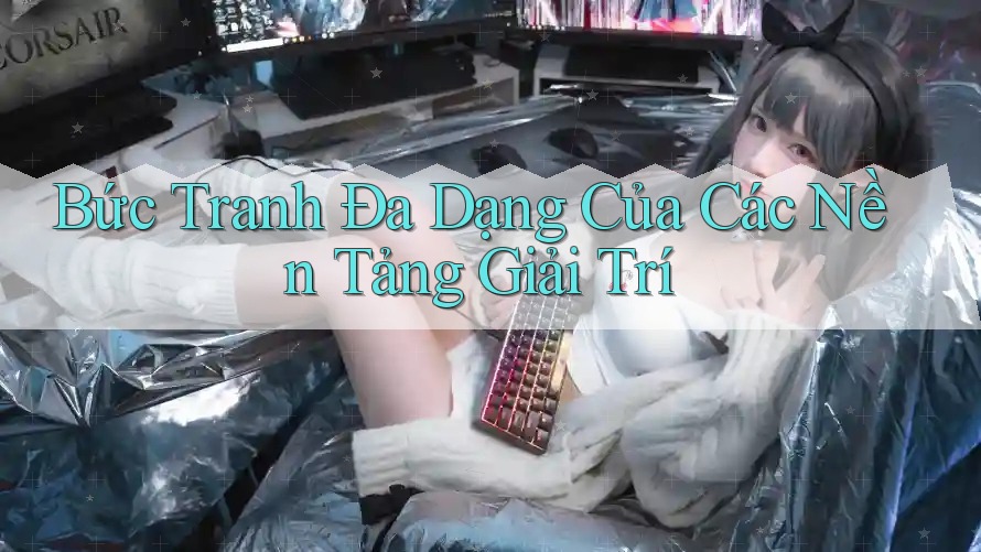 Bức Tranh Đa Dạng Của Các Nền Tảng Giải Trí