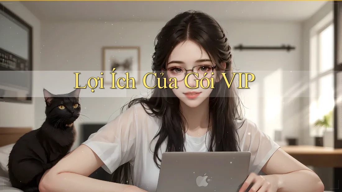 Lợi Ích Của Gói VIP