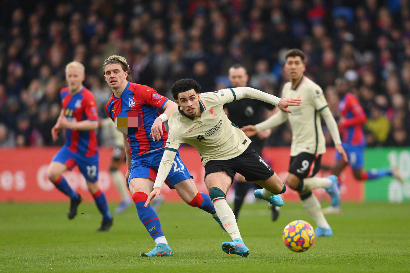 的记忆中 的记忆中